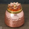 Dry Fruit Container